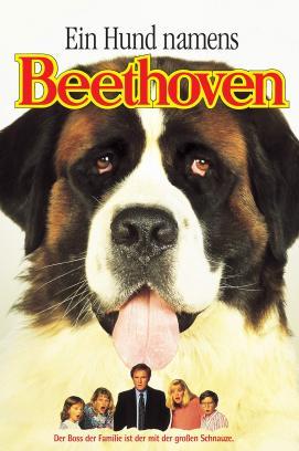 Ein Hund namens Beethoven